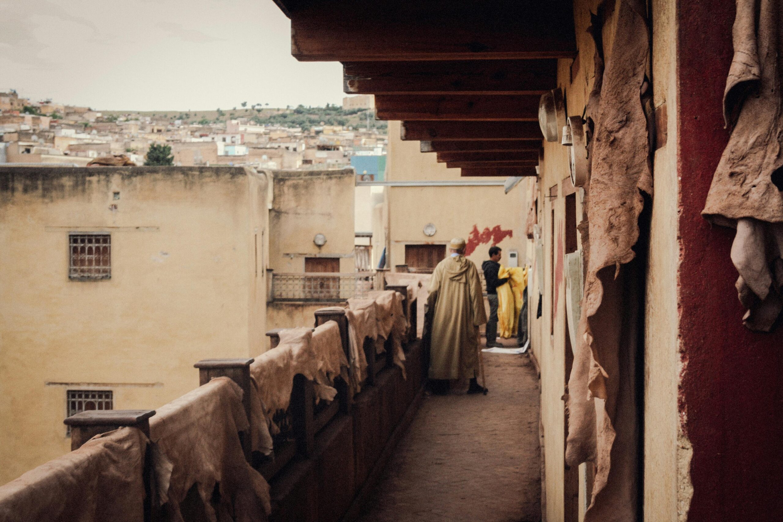 pexels-yassine-benmoussa-1650792656-28126808